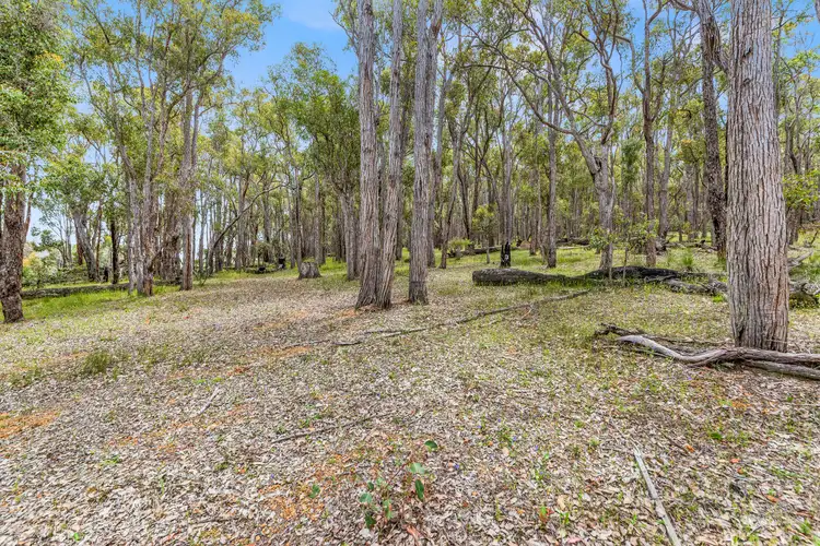 Sixth view of Homely rural property listing, Lot 2 Westbourne Road, Boyup Brook WA 6244