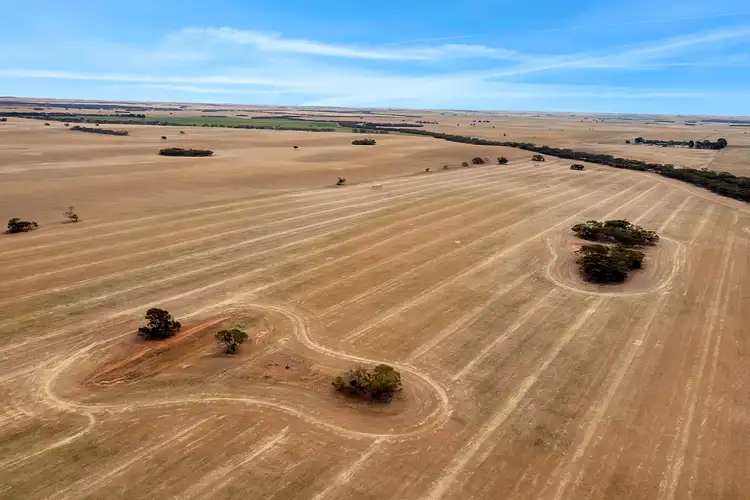 Third view of Homely rural property listing, 288 Prentice Road, Karoonda SA 5307