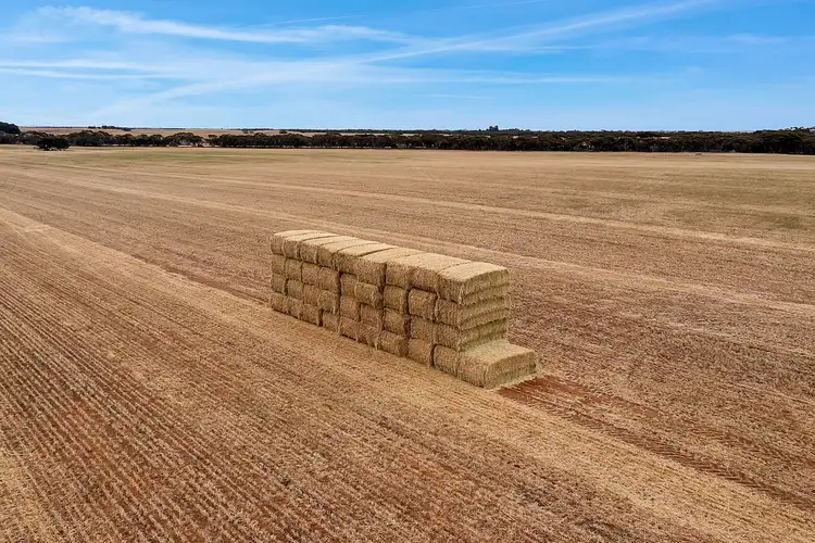Fourth view of Homely rural property listing, 288 Prentice Road, Karoonda SA 5307