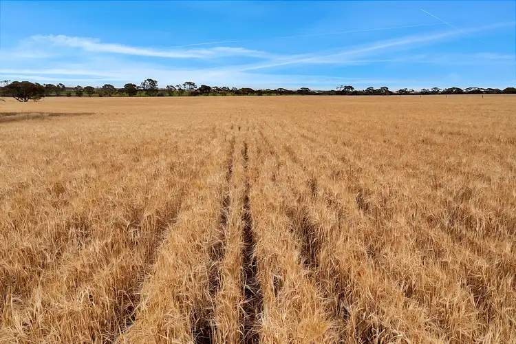 Fifth view of Homely rural property listing, 288 Prentice Road, Karoonda SA 5307