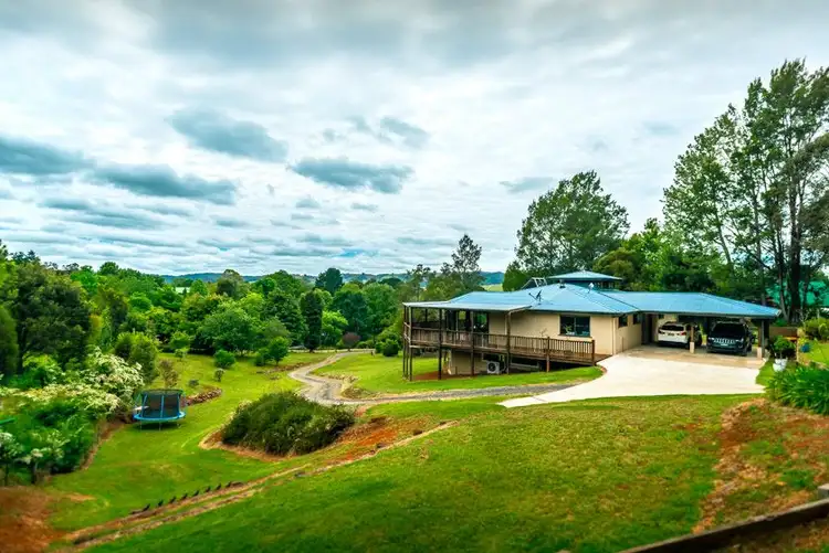 6 Elm Avenue, Dorrigo NSW 2453