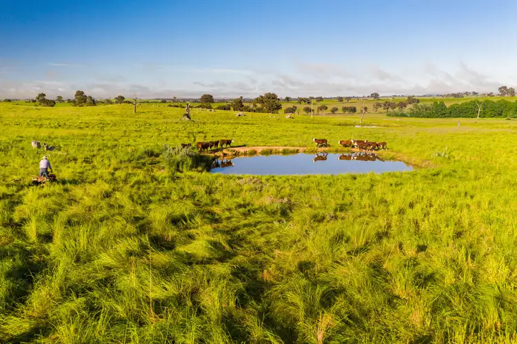 "Clare View" 1174 Lachlan Valley Way, Yass NSW 2582