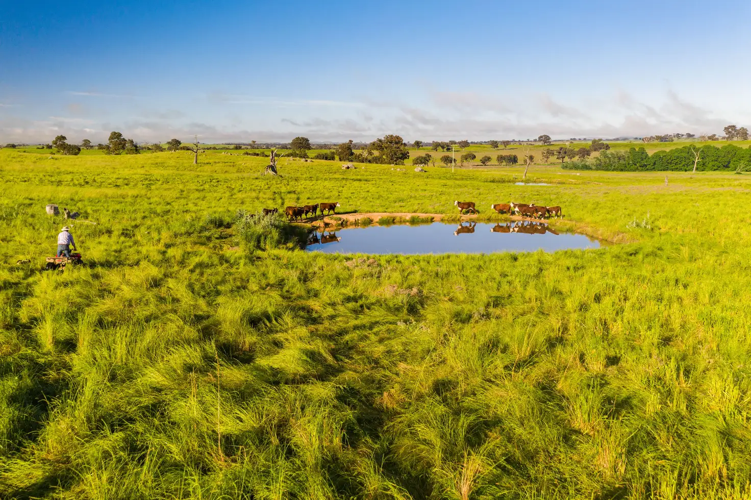 Main view of Homely land listing, "Clare View" 1174 Lachlan Valley Way, Yass NSW 2582