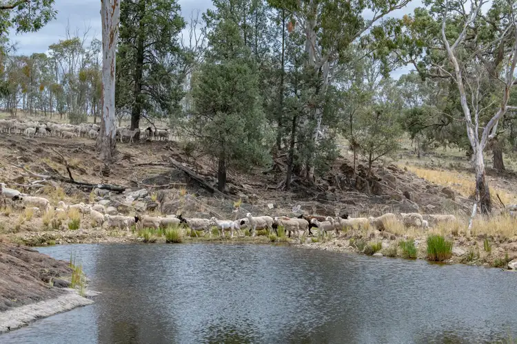 Seventh view of Homely rural property listing, 1568 Columba Road, Gore QLD 4352