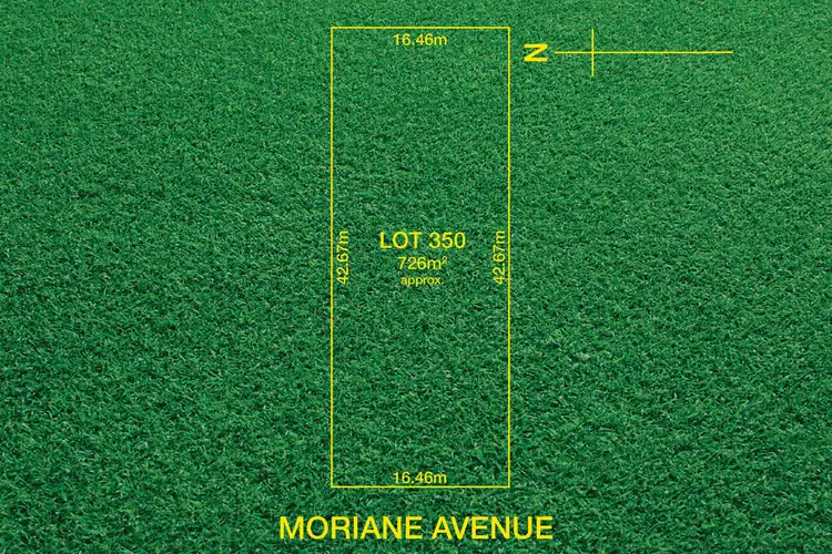 8 Moriane Avenue, Panorama SA 5041