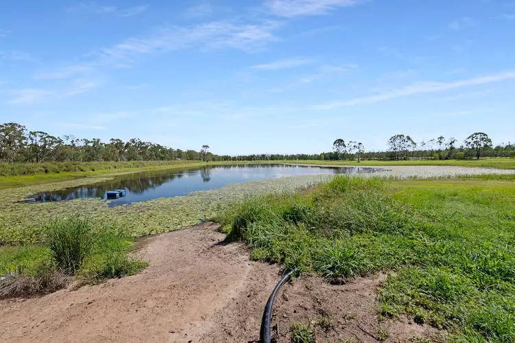 Seventh view of Homely rural property listing, 70 Grahams Road, Drinan QLD 4671