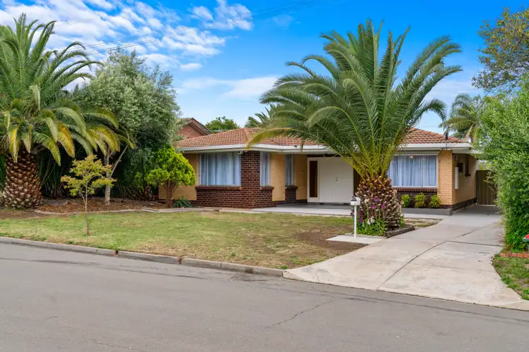 Main view of Homely house listing, 19 Icarus Avenue, Modbury North SA 5092