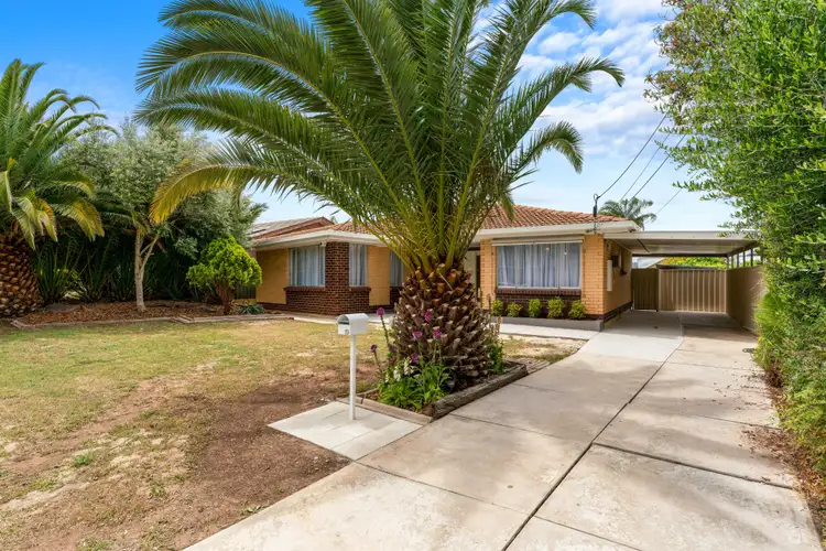 Second view of Homely house listing, 19 Icarus Avenue, Modbury North SA 5092