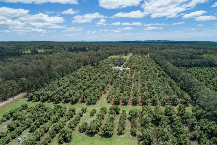 Third view of Homely rural property listing, 144 Keys Road, Hampton QLD 4352