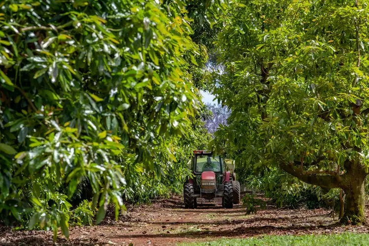 Fifth view of Homely rural property listing, 144 Keys Road, Hampton QLD 4352
