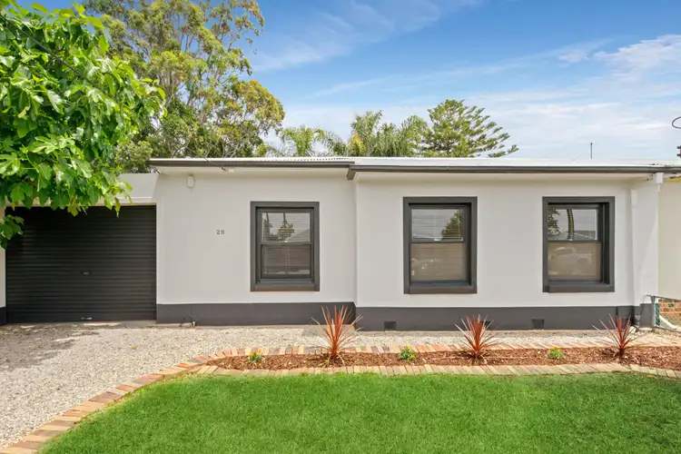 26 Barham Avenue, Morphettville SA 5043