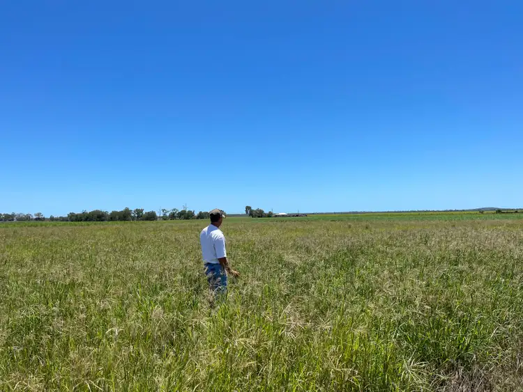 Second view of Homely rural property listing, 472 Landing Road, Koumala QLD 4738