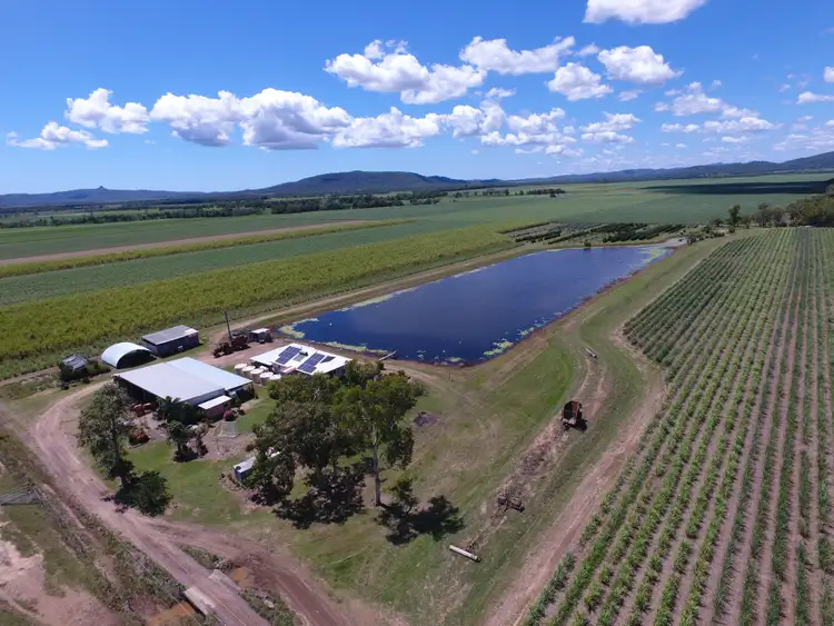 Fourth view of Homely rural property listing, 472 Landing Road, Koumala QLD 4738