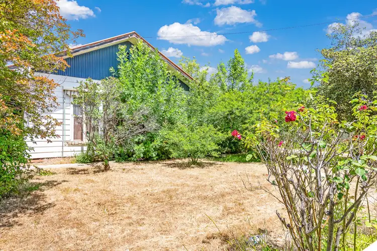 17 Echuca Street, Moama NSW 2731