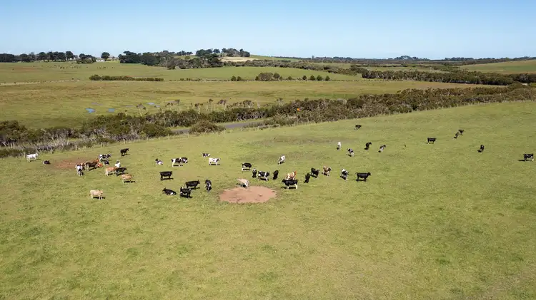 Fourth view of Homely land listing, LOT 3, 445 Ventnor Road, Ventnor VIC 3922