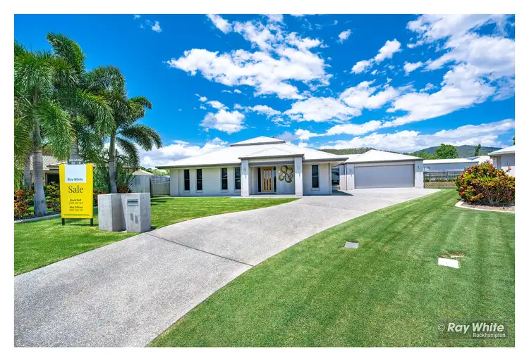 Main view of Homely house listing, 13 Lace Flower Court, Norman Gardens QLD 4701