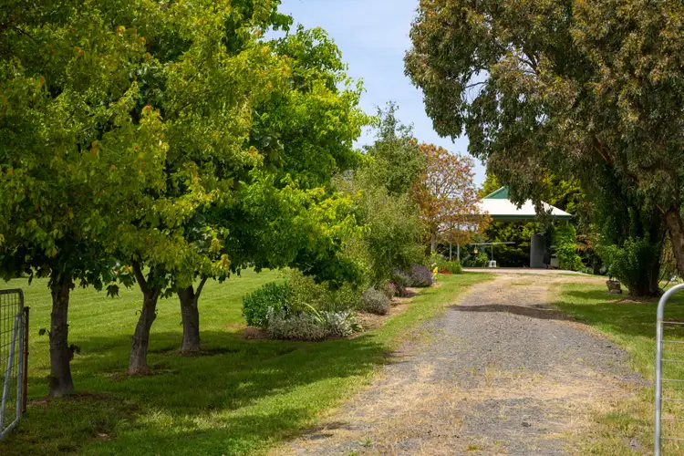 Fifth view of Homely rural property listing, 670 Barry Road, Neville NSW 2799