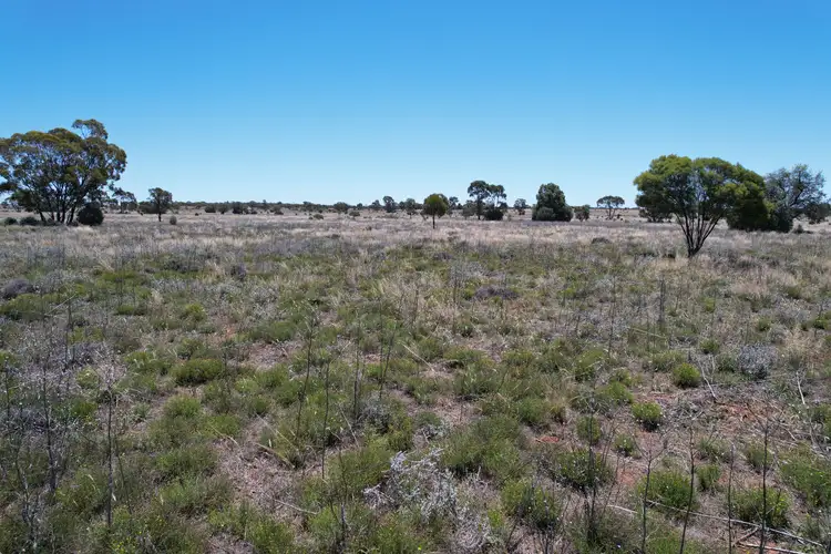 Second view of Homely rural property listing, Part Allandoon Peisley Road, Nyngan NSW 2825