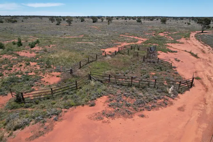 Sixth view of Homely rural property listing, Part Allandoon Peisley Road, Nyngan NSW 2825