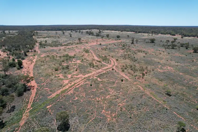 Seventh view of Homely rural property listing, Part Allandoon Peisley Road, Nyngan NSW 2825