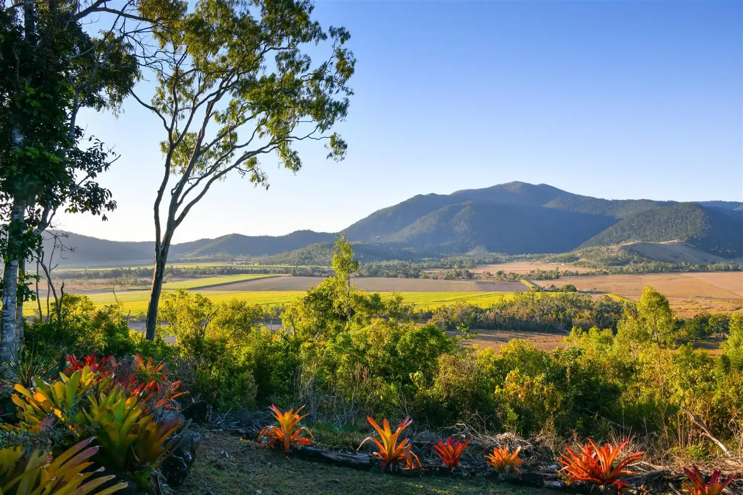 Main view of Homely house listing, 97 Muller Road, Myrtlevale QLD 4800