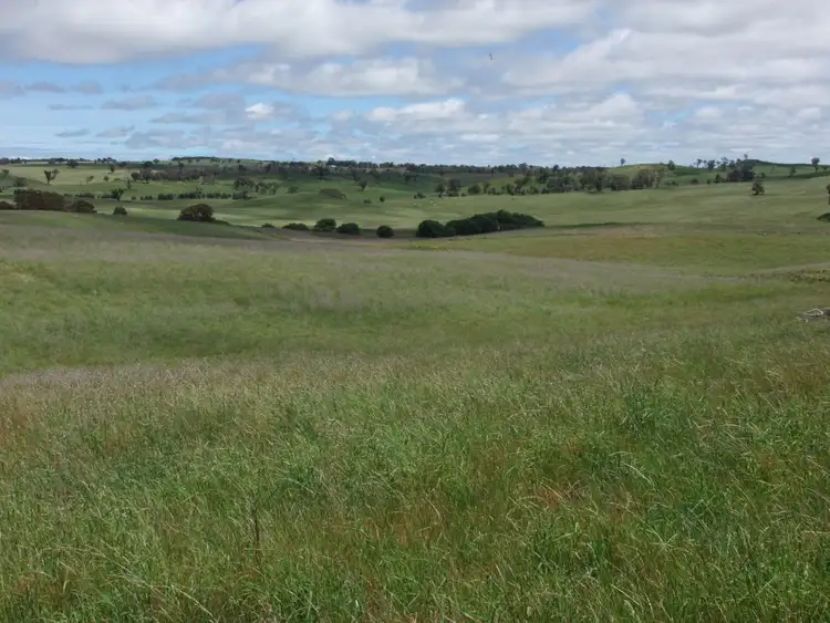 Fourth view of Homely rural property listing, 1081 Triangle Flat Road, Bathurst NSW 2795