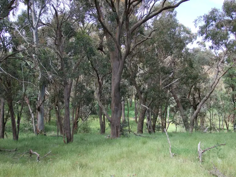 Fifth view of Homely rural property listing, 1081 Triangle Flat Road, Bathurst NSW 2795