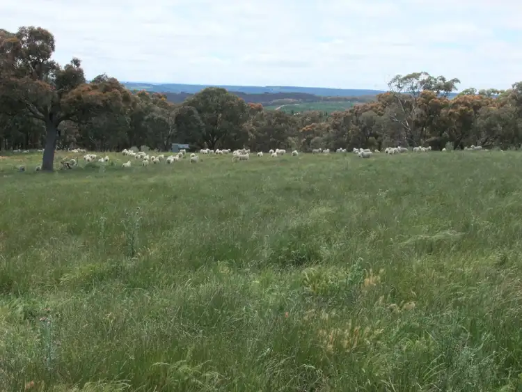 Sixth view of Homely rural property listing, 1081 Triangle Flat Road, Bathurst NSW 2795