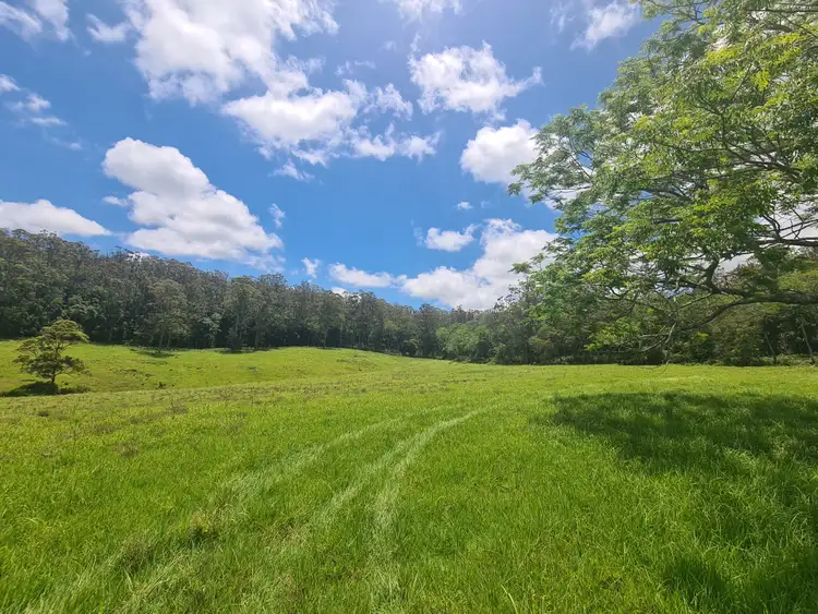 Sixth view of Homely land listing, L84 National Park Road, Ravensbourne QLD 4352