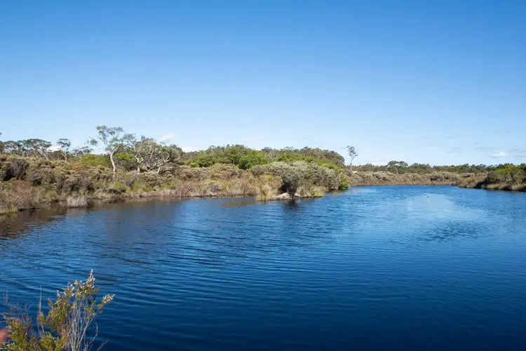 Fourth view of Homely rural property listing, 9000 Tammar Terrace, Northcliffe WA 6262
