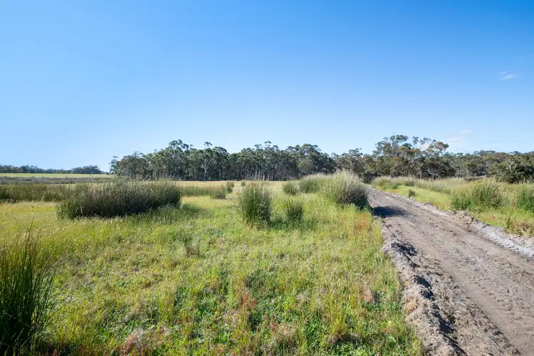 Seventh view of Homely rural property listing, 9000 Tammar Terrace, Northcliffe WA 6262