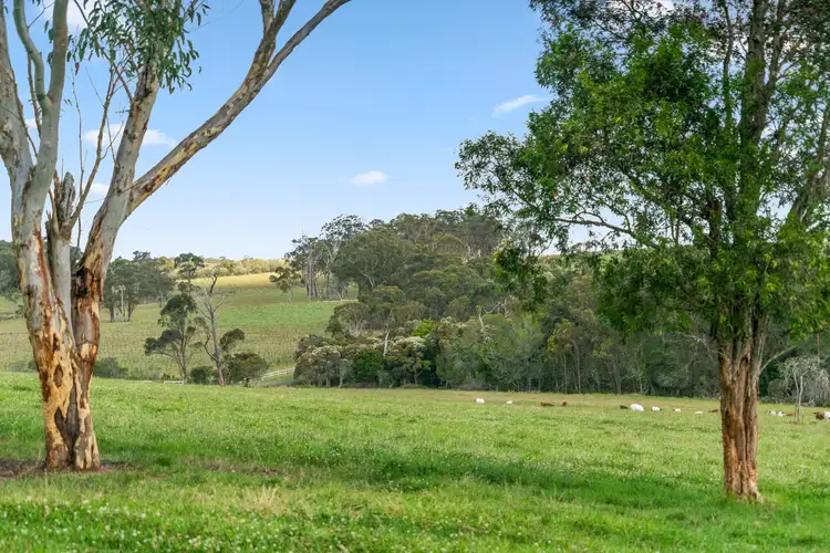 Second view of Homely rural property listing, 242 Mount Faulk Road, Cooranbong NSW 2265