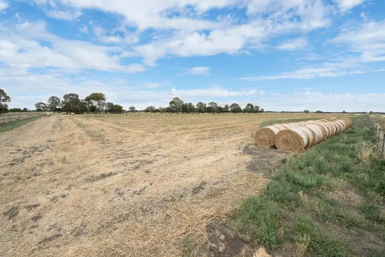 Seventh view of Homely rural property listing, Lot 10C Murraydale Road, Tyntynder VIC 3586