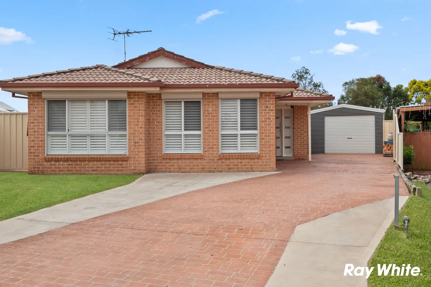 Main view of Homely house listing, 41 Ripley Place, Hassall Grove NSW 2761
