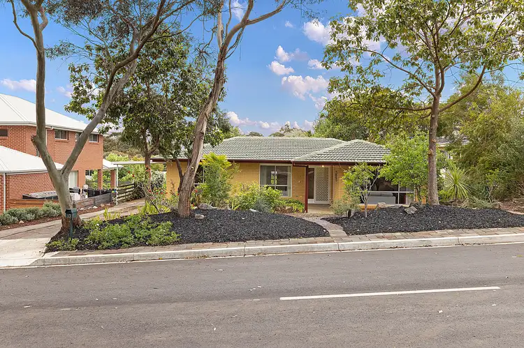 Main view of Homely house listing, 13 Dennis Grove, Vista SA 5091