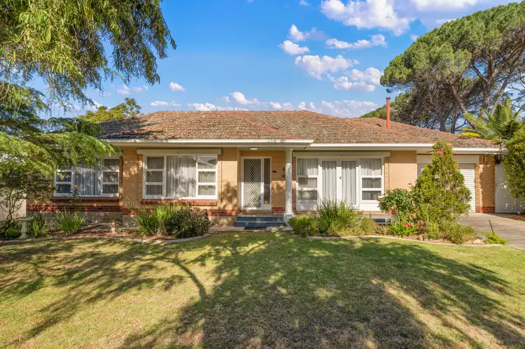 17 Chapman Street, Rostrevor SA 5073