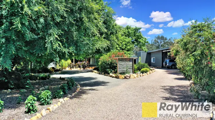 Fifth view of Homely house listing, 15 Pezzutos Road, Colly Blue, Spring Ridge NSW 2343
