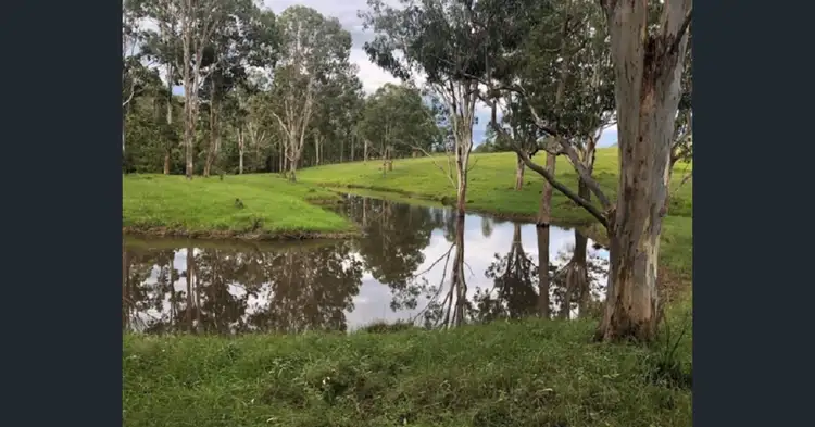 Fourth view of Homely rural property listing, 7888 Bruxner Highway, Tabulam NSW 2469