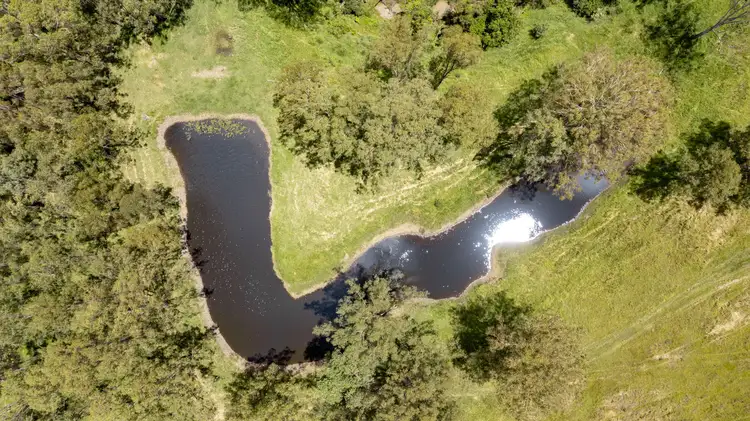 Sixth view of Homely rural property listing, 7888 Bruxner Highway, Tabulam NSW 2469