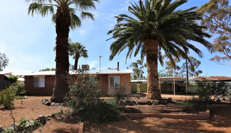 Main view of Homely house listing, 59 Mallee Drive, Kambalda West WA 6442