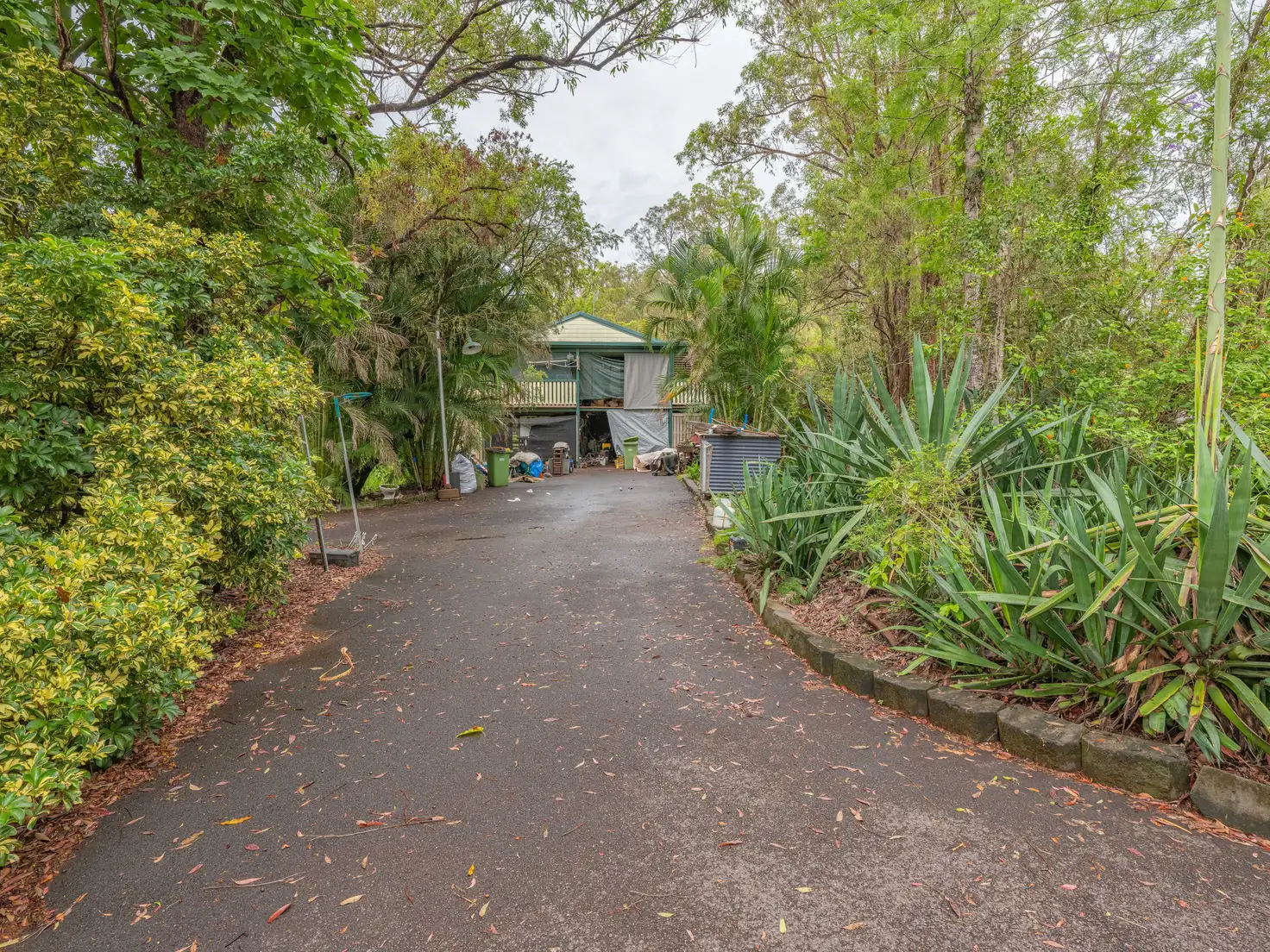 Main view of Homely house listing, 193 McIntosh Creek Road, Jones Hill QLD 4570