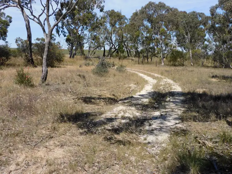 Fifth view of Homely rural property listing, Lot 101 Dunstall Road, Bordertown South SA 5268