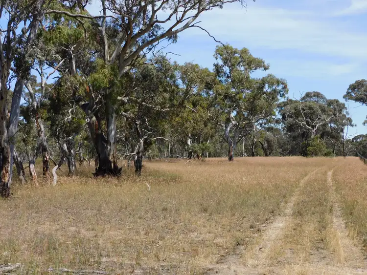 Sixth view of Homely rural property listing, Lot 101 Dunstall Road, Bordertown South SA 5268