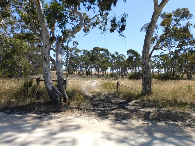 Seventh view of Homely rural property listing, Lot 101 Dunstall Road, Bordertown South SA 5268