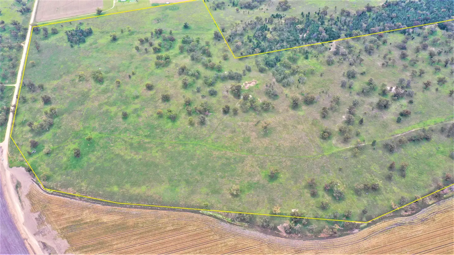 Main view of Homely rural property listing, 1682 Warrah Ridge Road, Quirindi NSW 2343