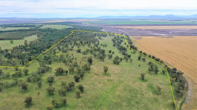 Fourth view of Homely rural property listing, 1682 Warrah Ridge Road, Quirindi NSW 2343