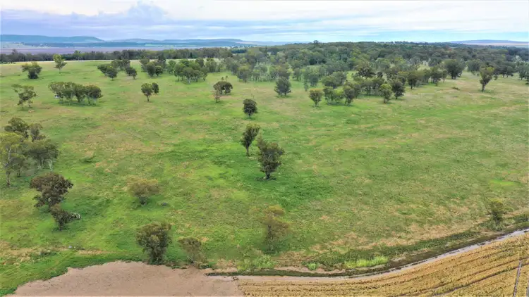 Fifth view of Homely rural property listing, 1682 Warrah Ridge Road, Quirindi NSW 2343
