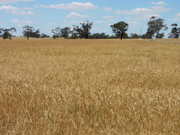 Lots  31 & 32 Aerodrome Road, Bordertown SA 5268