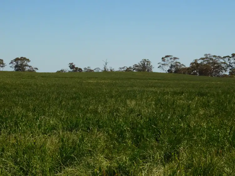 Seventh view of Homely rural property listing, Lots  31 & 32 Aerodrome Road, Bordertown SA 5268