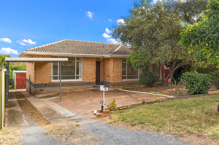 46 The Parade, Holden Hill SA 5088